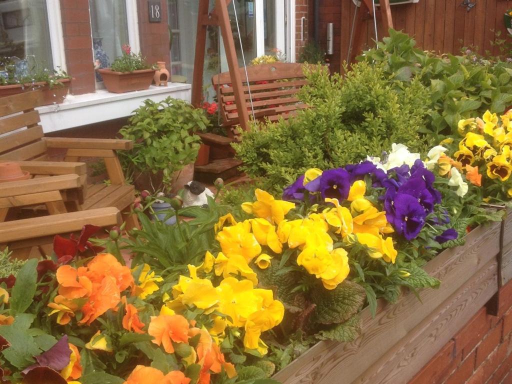 The Broadfield Bed and Breakfast Bridlington Εξωτερικό φωτογραφία